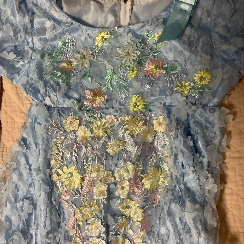 Bridgerton Gown
